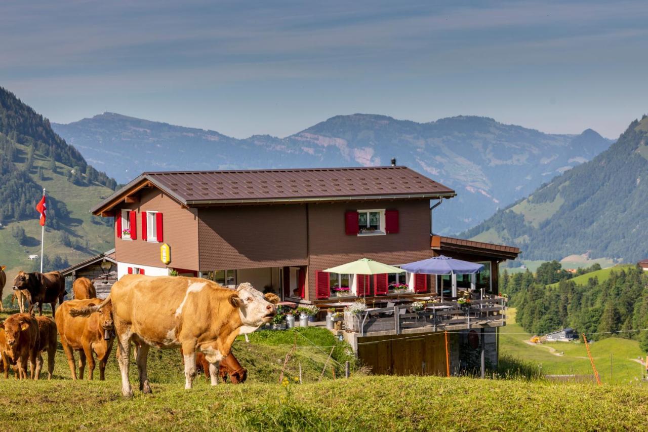The Swiss Paradise 2 Apartment With Garden, Whirlpool, And Mountain Panorama Wirzweli ภายนอก รูปภาพ